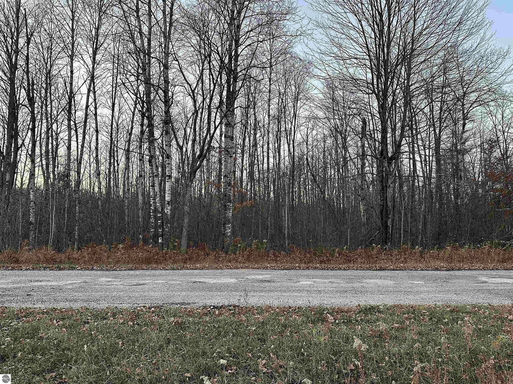 0.46 Acres of Residential Land for Sale in Elmira, Michigan