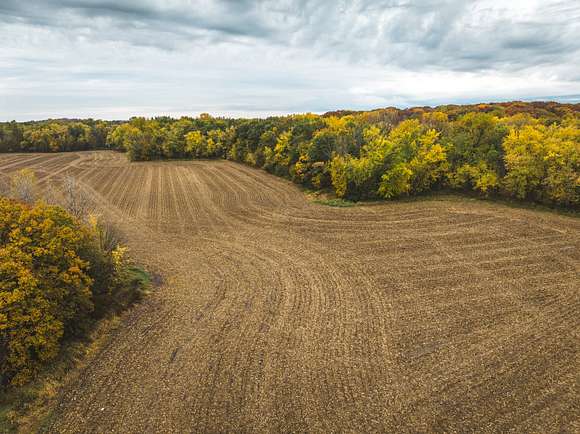 48 Acres of Recreational Land for Sale in Rutledge, Missouri