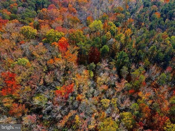 7.84 Acres of Residential Land for Sale in Bowie, Maryland