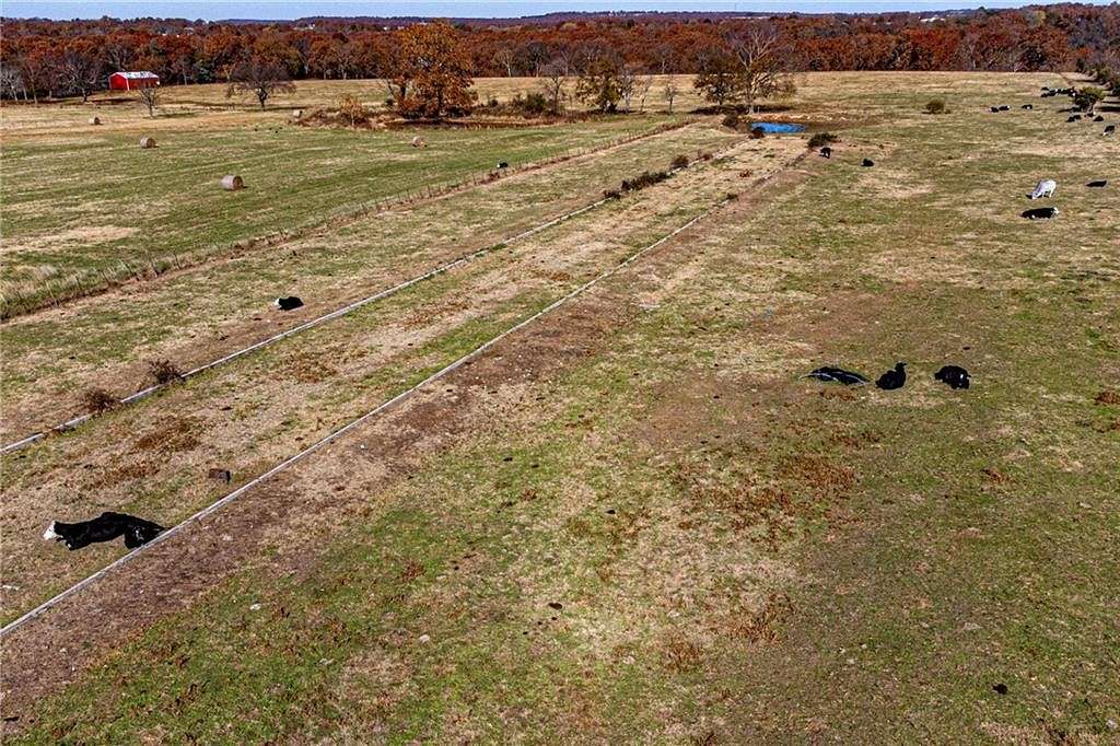 47.7 Acres of Land for Sale in Lincoln, Arkansas