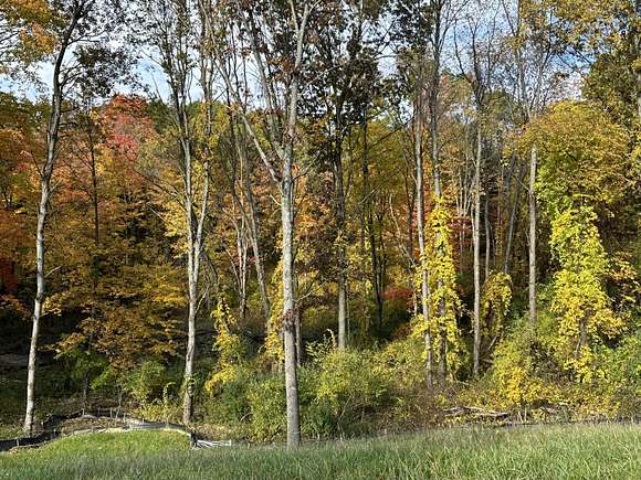 3.4 Acres of Residential Land for Sale in Ada, Michigan