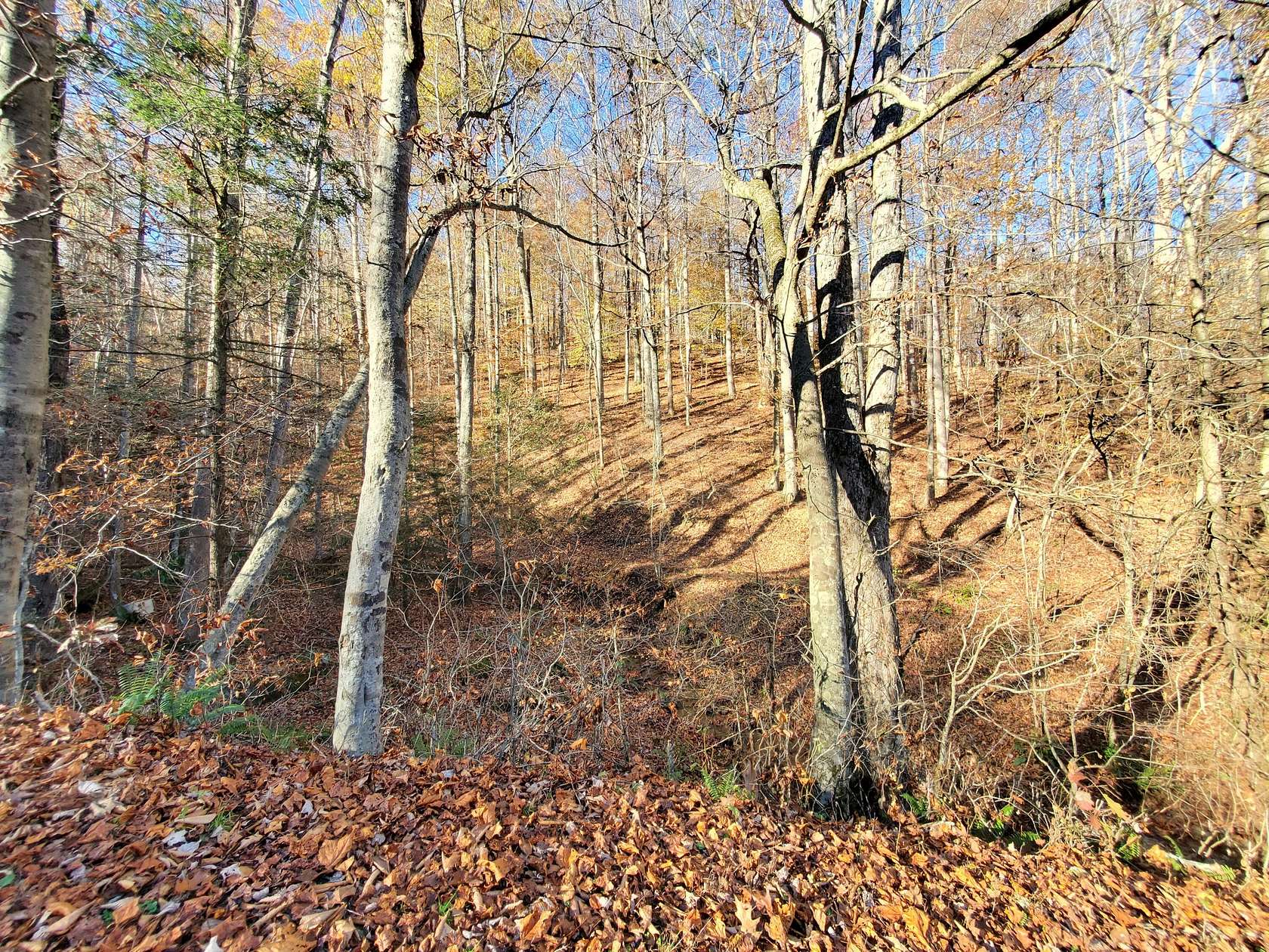 4.6 Acres of Residential Land for Sale in Roan Mountain, Tennessee