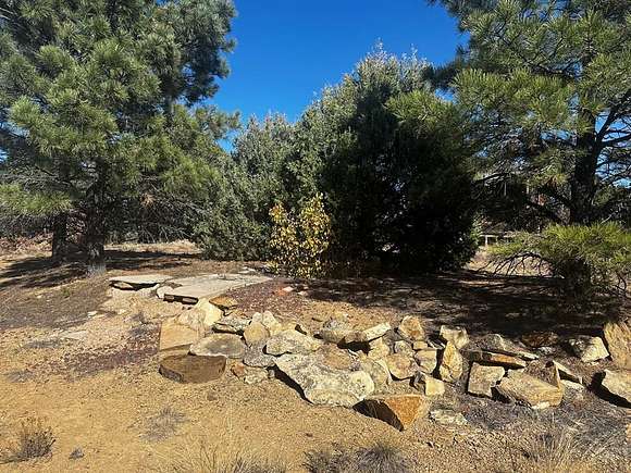 40 Acres of Recreational Land for Sale in Trinidad, Colorado