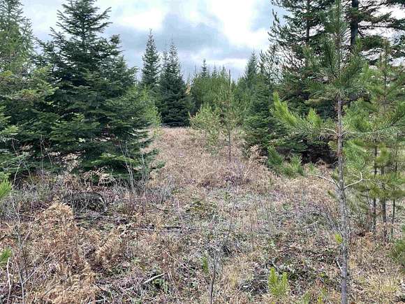 6 Acres of Land for Sale in Ione, Washington