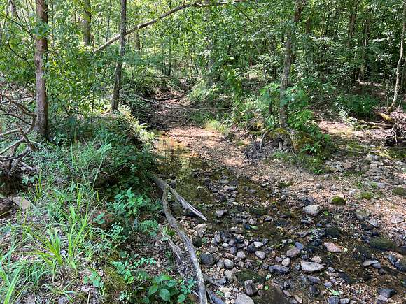 245 Acres of Recreational Land for Sale in Lutts, Tennessee