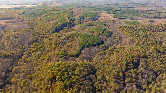 116 Acres of Recreational Land & Farm for Sale in Stewart, Tennessee