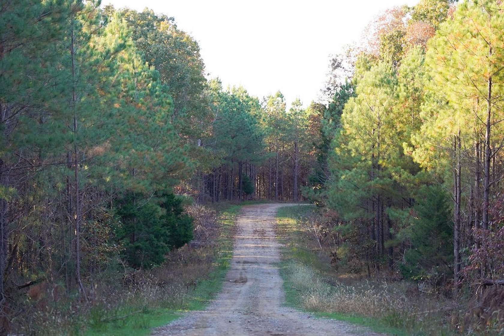 22.9 Acres of Recreational Land & Farm for Sale in Stewart, Tennessee