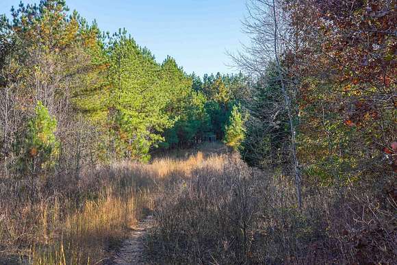 22.3 Acres of Recreational Land & Farm for Sale in Stewart, Tennessee