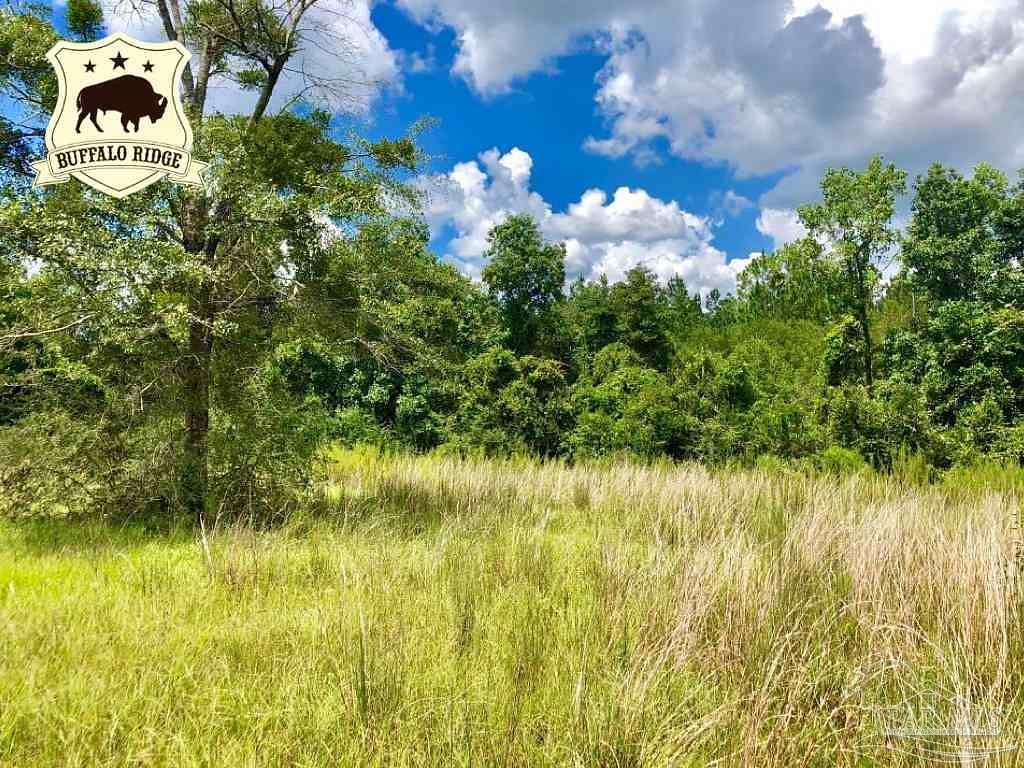 15.2 Acres of Land for Sale in Pace, Florida