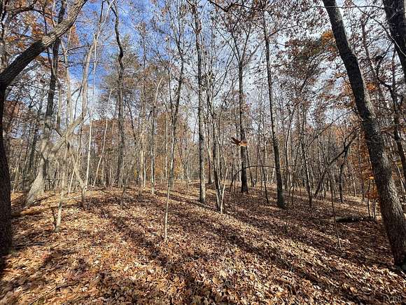 20.6 Acres of Land for Sale in Amherst, Virginia