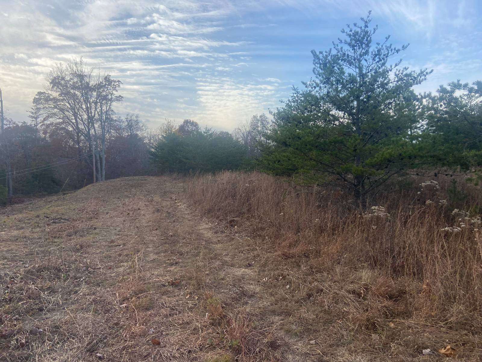 3 Acres of Land for Sale in Eckerty, Indiana
