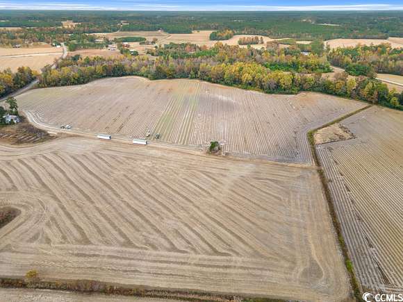 40.3 Acres of Agricultural Land for Sale in Nichols, South Carolina