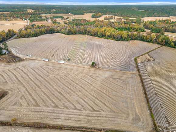 40.33 Acres of Agricultural Land for Sale in Nichols, South Carolina