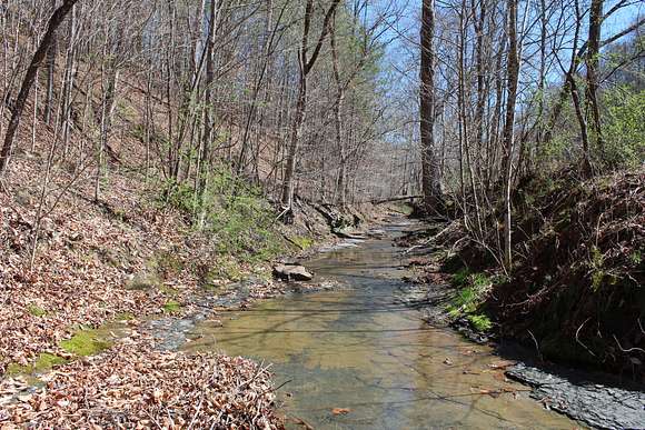 140 Acres of Recreational Land for Sale in Jackson, Kentucky