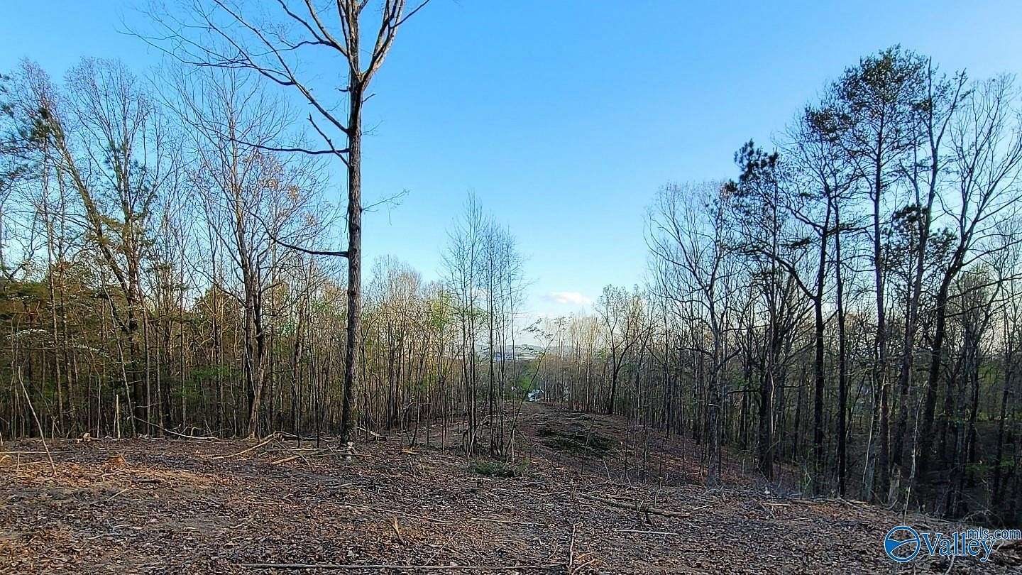 22 Acres of Land for Sale in Gadsden, Alabama