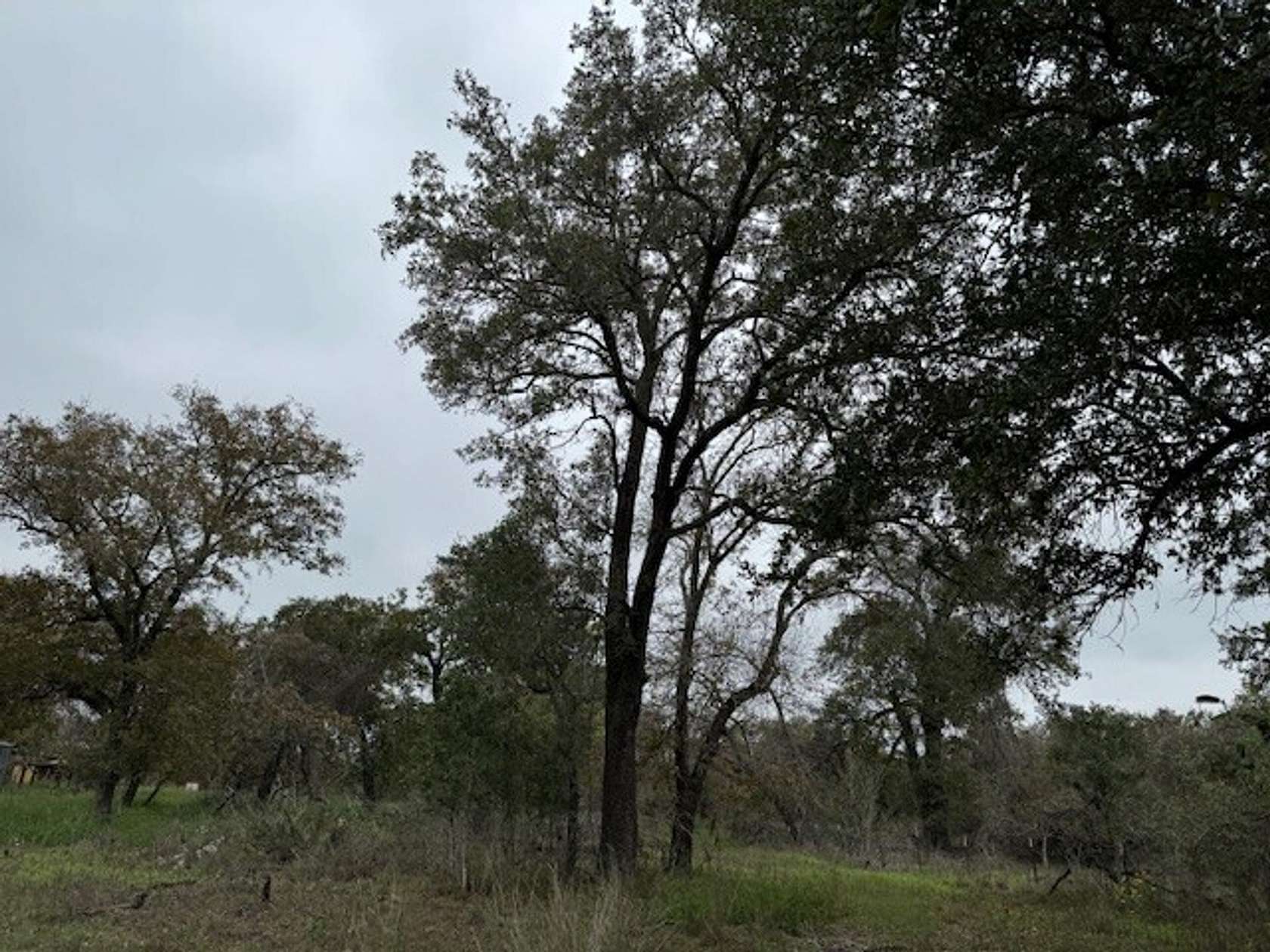 127 Acres of Recreational Land for Sale in Floresville, Texas