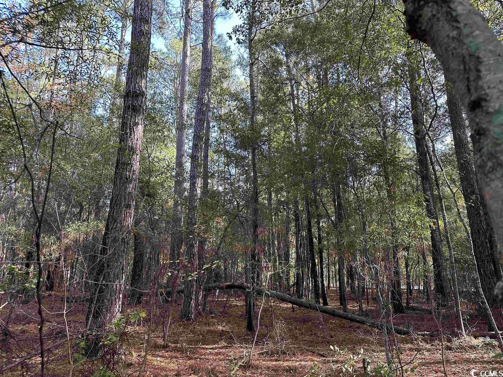 1.6 Acres of Residential Land for Sale in Kingstree, South Carolina
