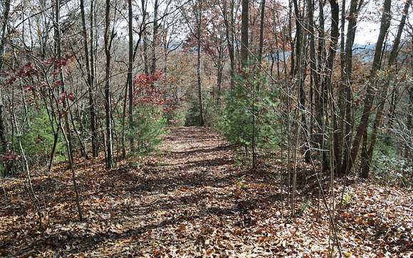 7 Acres of Land for Sale in Hayesville, North Carolina
