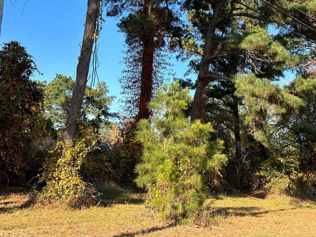 1.37 Acres of Residential Land for Sale in Chincoteague, Virginia