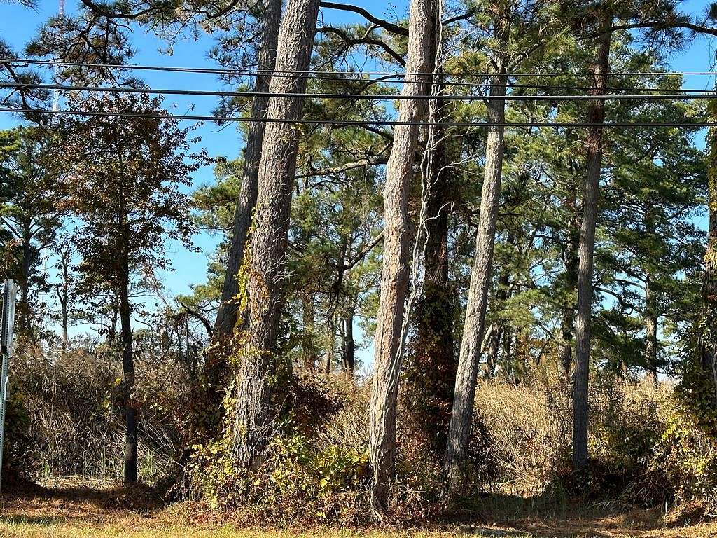 0.24 Acres of Residential Land for Sale in Chincoteague, Virginia