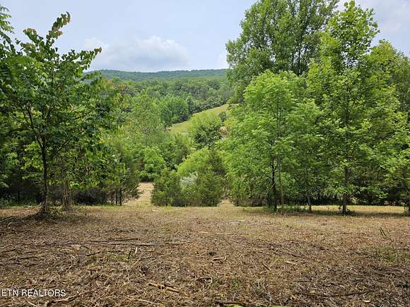 24 Acres of Agricultural Land for Sale in Sneedville, Tennessee