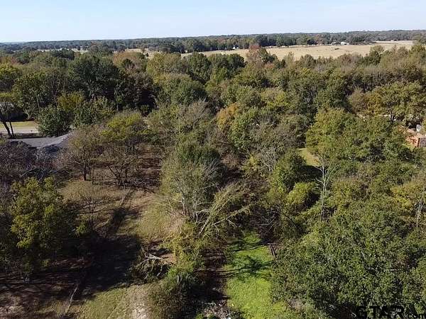 1.3 Acres of Residential Land for Sale in Alba, Texas