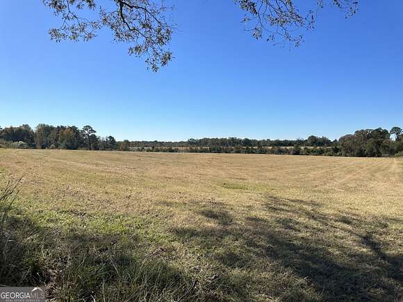 28.2 Acres of Recreational Land & Farm for Sale in Uvalda, Georgia