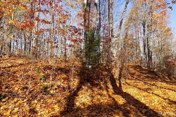 4.12 Acres of Land for Sale in Scaly Mountain, North Carolina