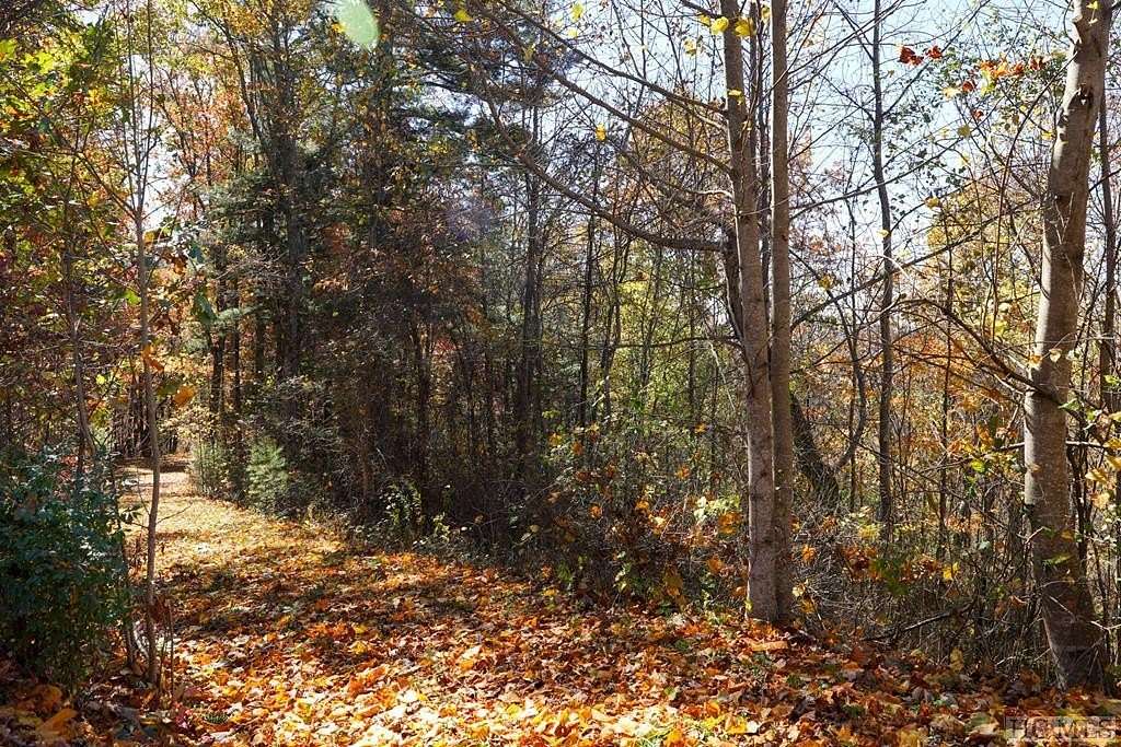 5 Acres of Land for Sale in Scaly Mountain, North Carolina