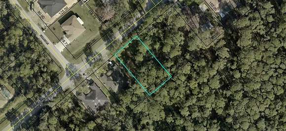 0.28 Acres of Residential Land for Sale in Palm Coast, Florida