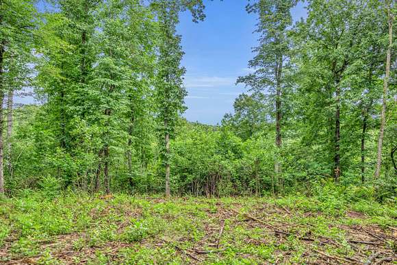 Land For Sale In Pegram Tn