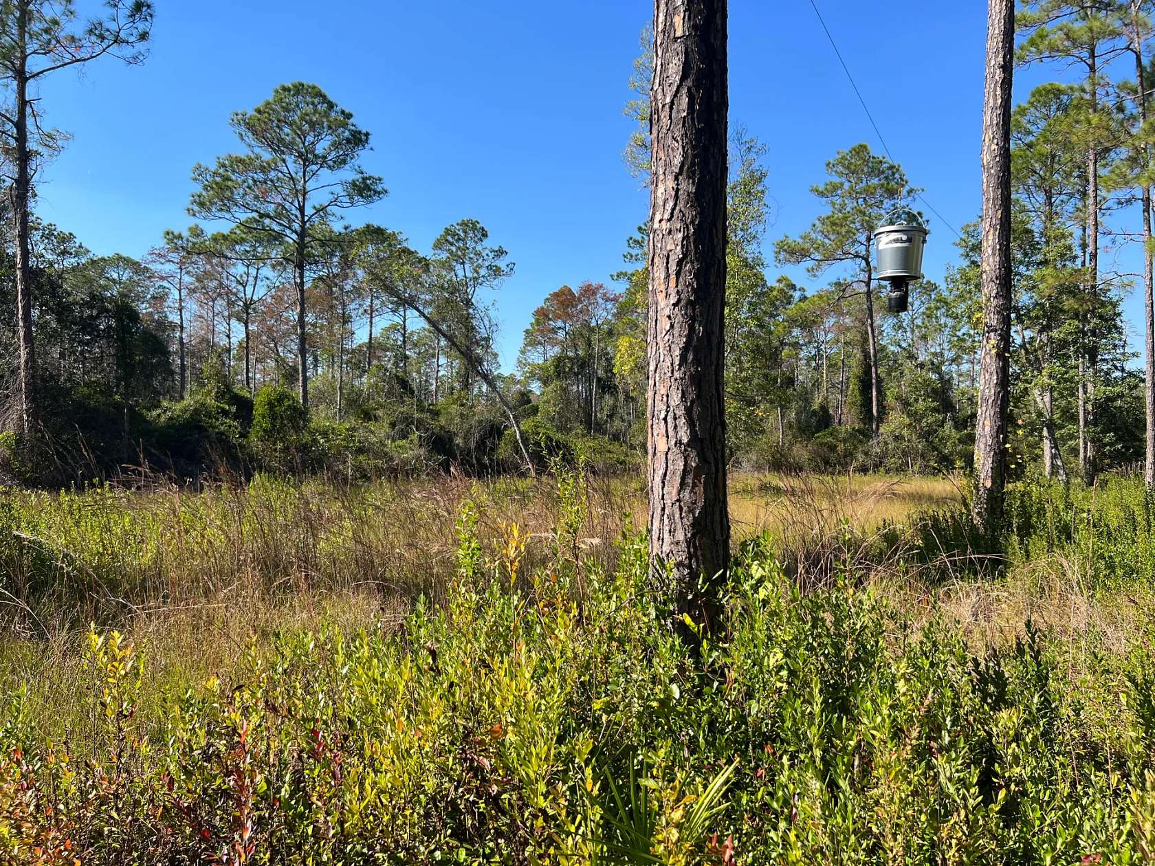40.5 Acres of Recreational Land for Sale in Greenville, Florida