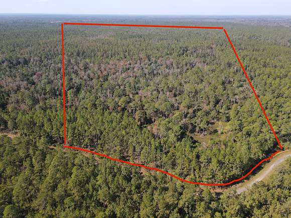 40.5 Acres of Recreational Land for Sale in Greenville, Florida