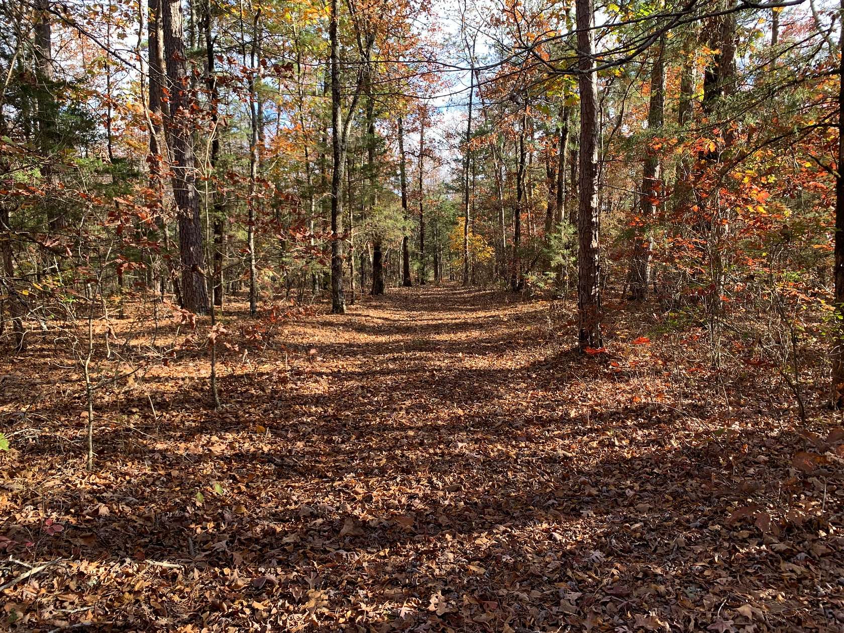 3.7 Acres of Land for Sale in Bee Branch, Arkansas