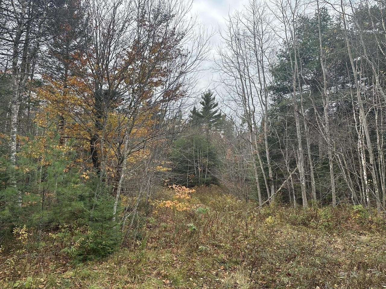 31.75 Acres of Recreational Land for Sale in Eastbrook, Maine