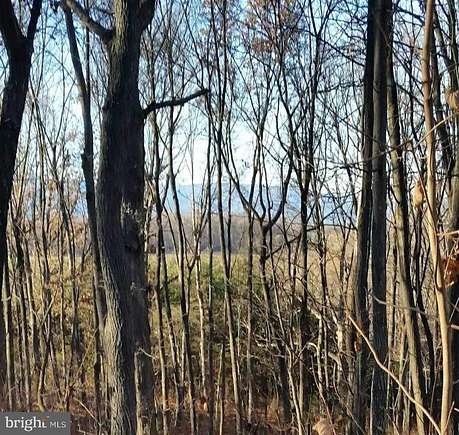 45 Acres of Agricultural Land for Sale in Staunton, Virginia