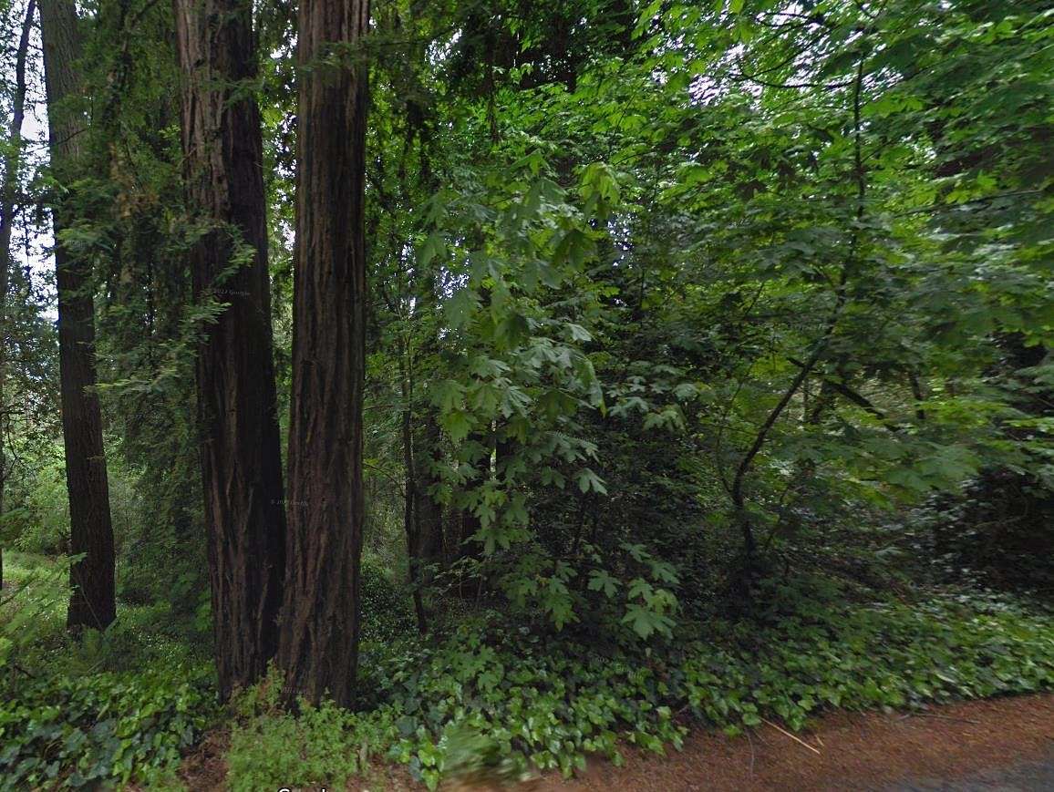 0.29 Acres of Residential Land for Sale in Redwood Estates, California