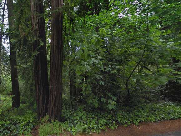 0.29 Acres of Residential Land for Sale in Redwood Estates, California