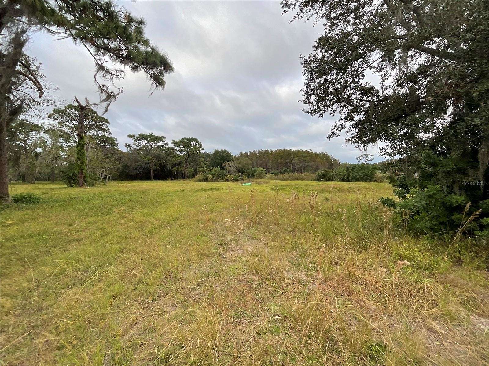 5 Acres of Residential Land for Sale in Odessa, Florida