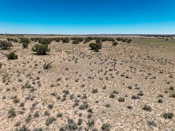 36.8 Acres of Land for Sale in St. Johns, Arizona