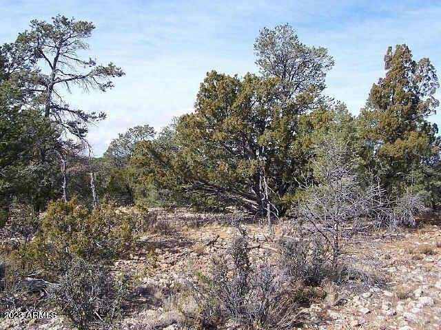 5 Acres of Residential Land for Sale in Happy Jack, Arizona