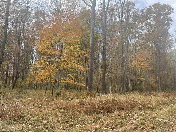 11 Acres of Recreational Land for Sale in Bruceton Mills, West Virginia