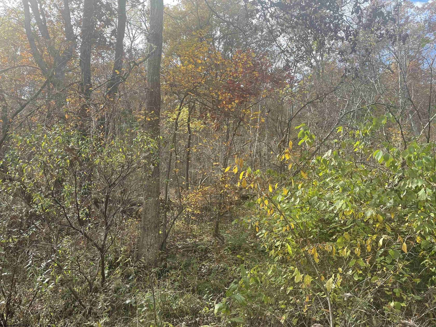 11 Acres of Recreational Land for Sale in Bruceton Mills, West Virginia