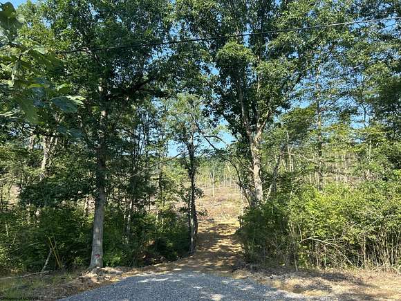 11 Acres of Recreational Land for Sale in Bruceton Mills, West Virginia