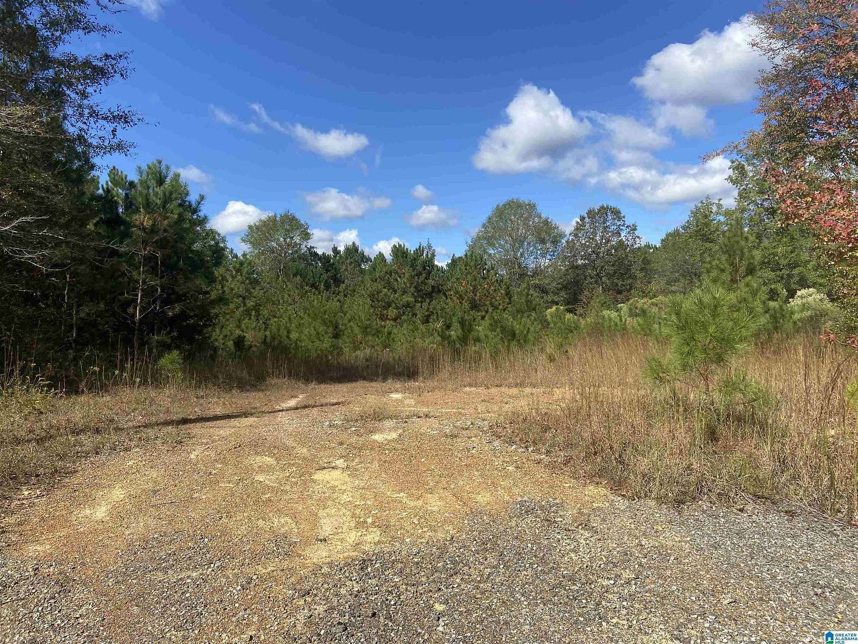 3.7 Acres of Land for Sale in Nauvoo, Alabama