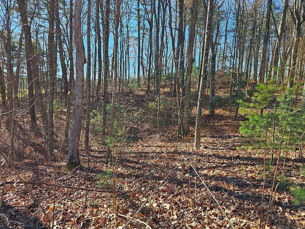 1.5 Acres of Residential Land for Sale in Woodlawn, Virginia