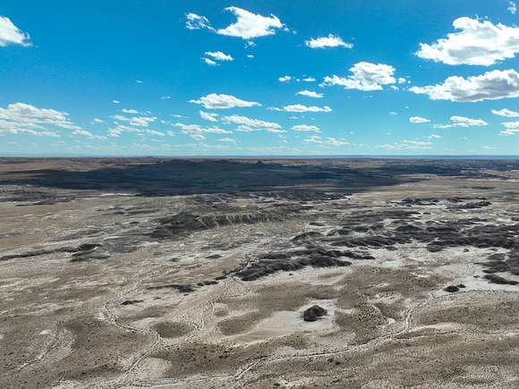 40 Acres of Land for Sale in Navajo, Arizona