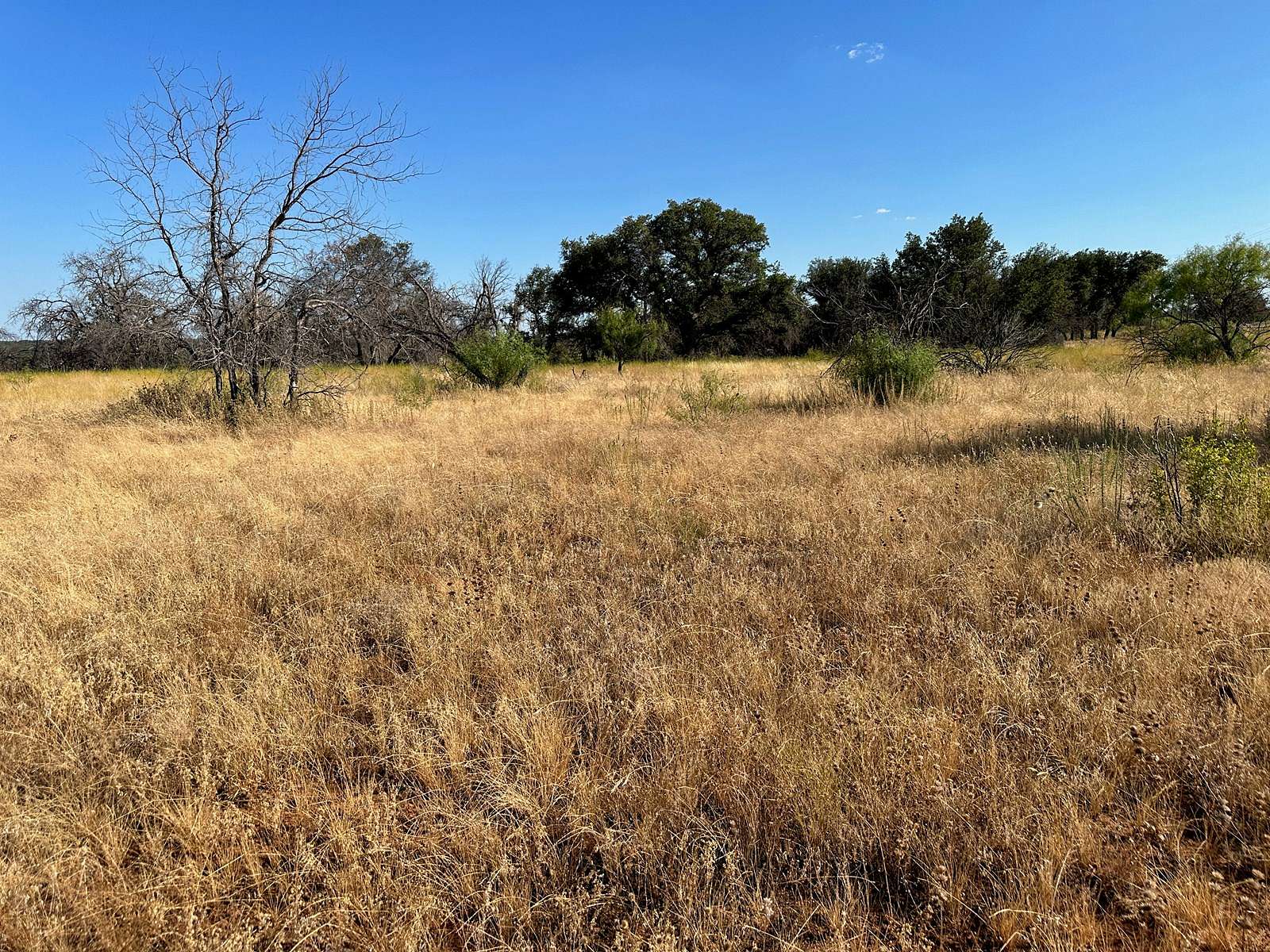 0.81 Acres of Residential Land for Sale in Brownwood, Texas