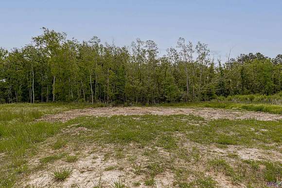 2.8 Acres of Residential Land for Sale in Livingston, Louisiana
