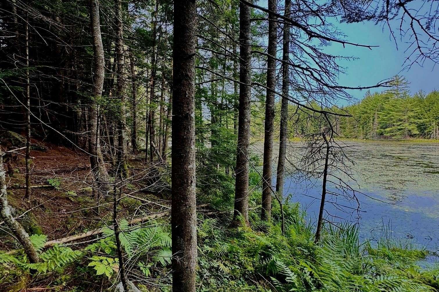 120 Acres of Recreational Land for Sale in Sandwich, New Hampshire